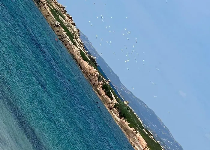 Casa Mana-y Διαμέρισμα Zonza