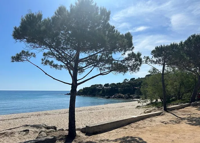 Casa Mana-y Διαμέρισμα Zonza