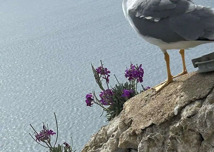 公寓 Casa Mana-y *